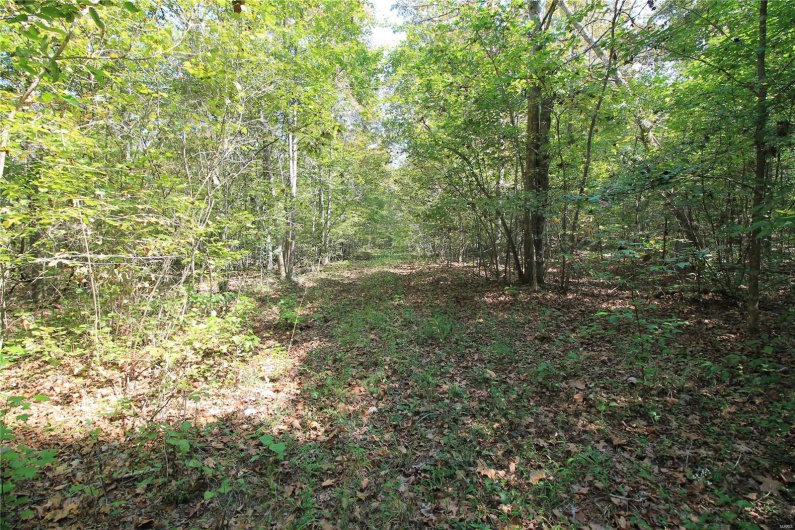 0 Madison CR 410 (108), Fredericktown, Missouri 63645, ,Farm,For Sale,Madison CR 410 (108),MAR24060864
