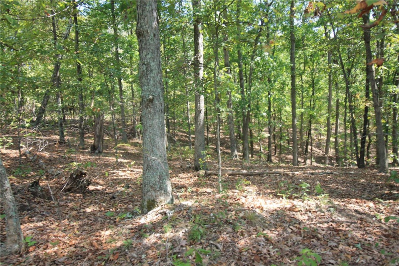 0 Madison CR 410 (108), Fredericktown, Missouri 63645, ,Farm,For Sale,Madison CR 410 (108),MAR24060864