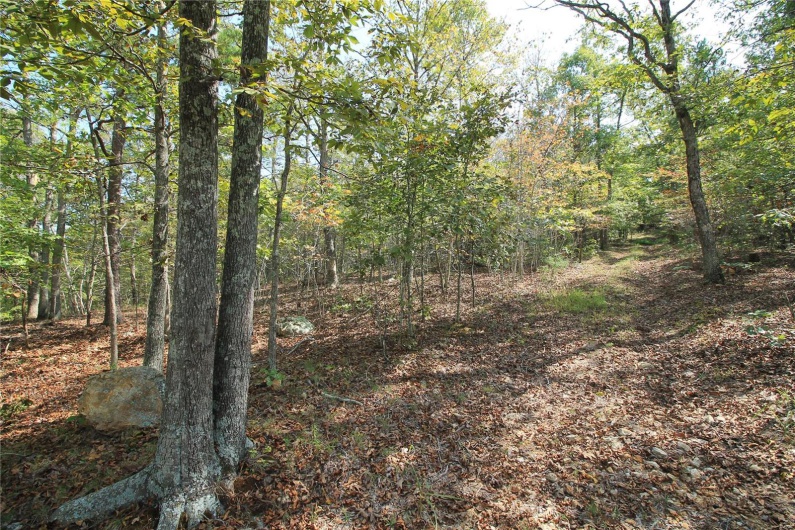 0 Madison CR 410 (108), Fredericktown, Missouri 63645, ,Farm,For Sale,Madison CR 410 (108),MAR24060864