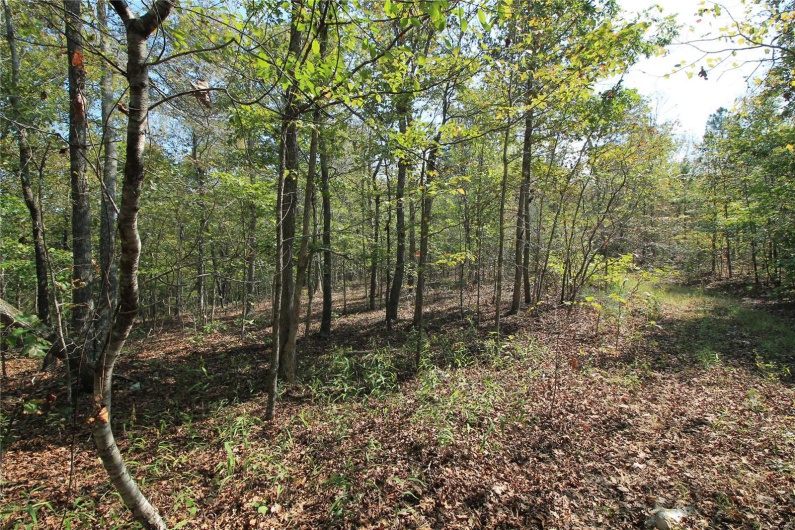 0 Madison CR 410 (108), Fredericktown, Missouri 63645, ,Farm,For Sale,Madison CR 410 (108),MAR24060864