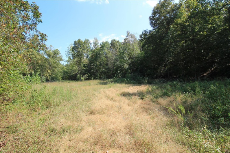 0 Madison CR 410 (108), Fredericktown, Missouri 63645, ,Farm,For Sale,Madison CR 410 (108),MAR24060864