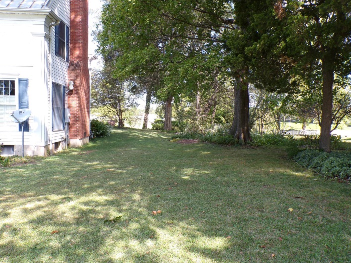 Side Yard