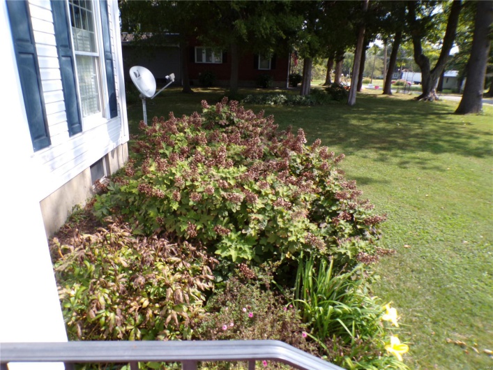 Another Yard View