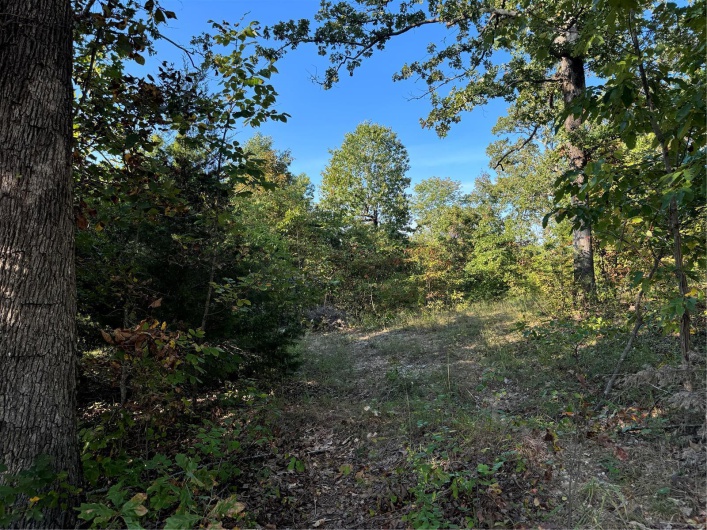 0 Lot 6b Lakeview Drive, Perryville, Missouri 63775, ,Land,For Sale,Lot 6b Lakeview,MAR24059861
