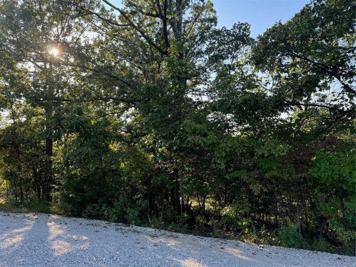 0 Lot 6b Lakeview Drive, Perryville, Missouri 63775, ,Land,For Sale,Lot 6b Lakeview,MAR24059861