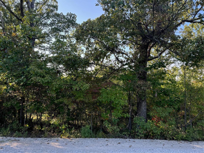 0 Lot 6b Lakeview Drive, Perryville, Missouri 63775, ,Land,For Sale,Lot 6b Lakeview,MAR24059861
