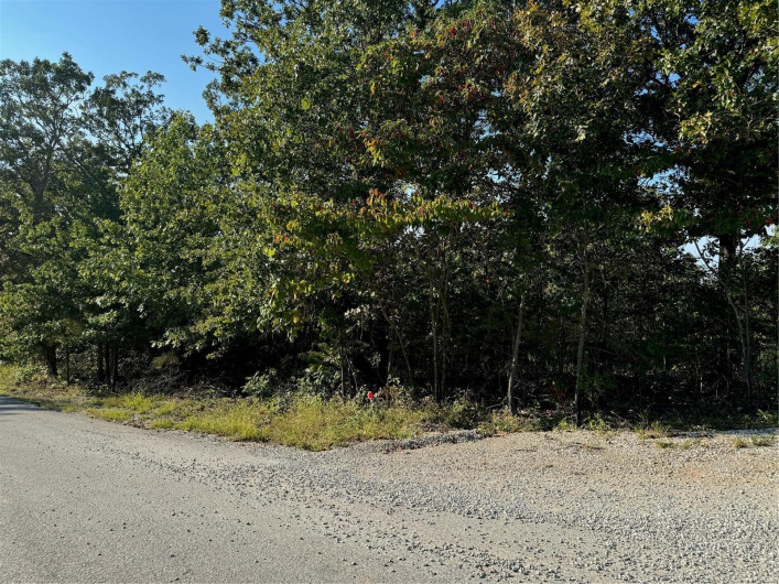 0 Lot 6b Lakeview Drive, Perryville, Missouri 63775, ,Land,For Sale,Lot 6b Lakeview,MAR24059861