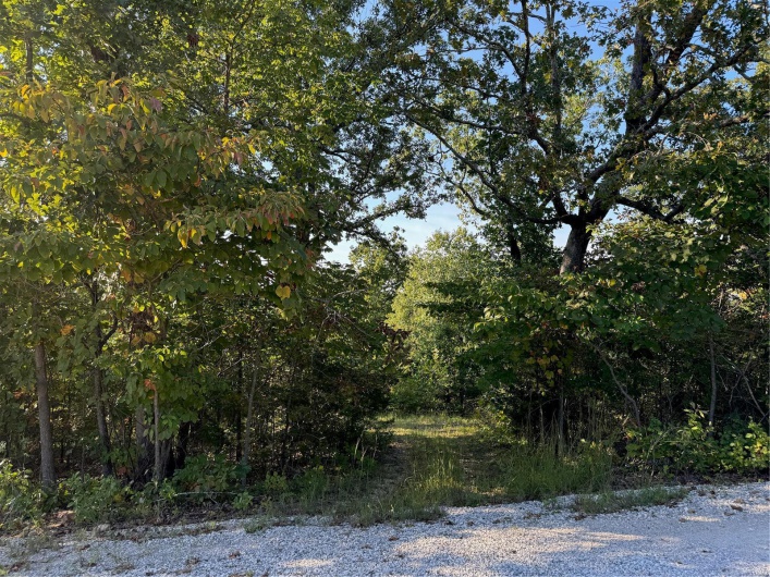0 Lot 6b Lakeview Drive, Perryville, Missouri 63775, ,Land,For Sale,Lot 6b Lakeview,MAR24059861