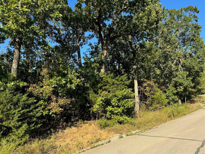 0 Lot 6b Lakeview Drive, Perryville, Missouri 63775, ,Land,For Sale,Lot 6b Lakeview,MAR24059861