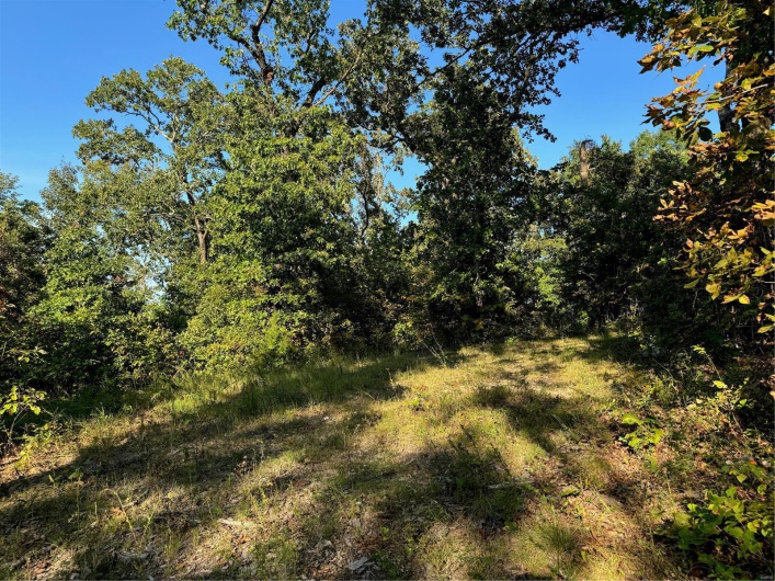 0 Lot 6b Lakeview Drive, Perryville, Missouri 63775, ,Land,For Sale,Lot 6b Lakeview,MAR24059861