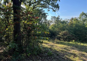 0 Lot 6b Lakeview Drive, Perryville, Missouri 63775, ,Land,For Sale,Lot 6b Lakeview,MAR24059861