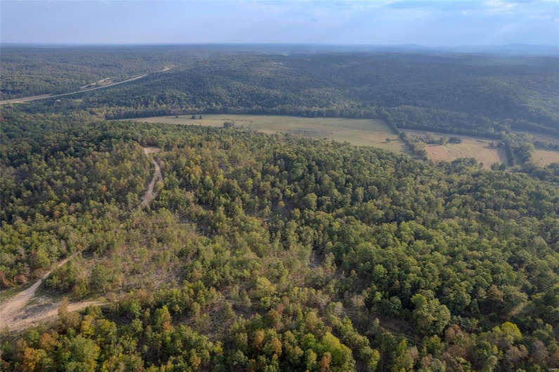 0 Madison CR 411 (124), Fredericktown, Missouri 63645, ,Farm,For Sale,Madison CR 411 (124),MAR24061291