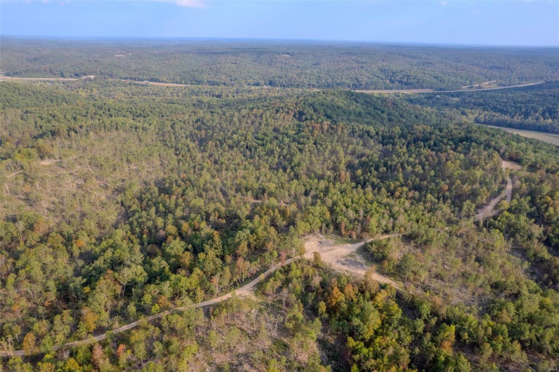 0 Madison CR 411 (124), Fredericktown, Missouri 63645, ,Farm,For Sale,Madison CR 411 (124),MAR24061291