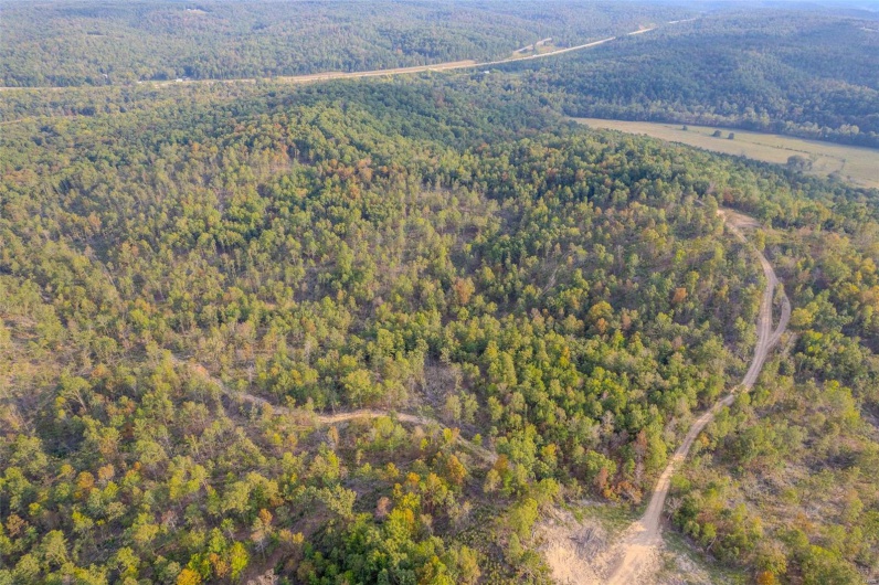 0 Madison CR 411 (124), Fredericktown, Missouri 63645, ,Farm,For Sale,Madison CR 411 (124),MAR24061291