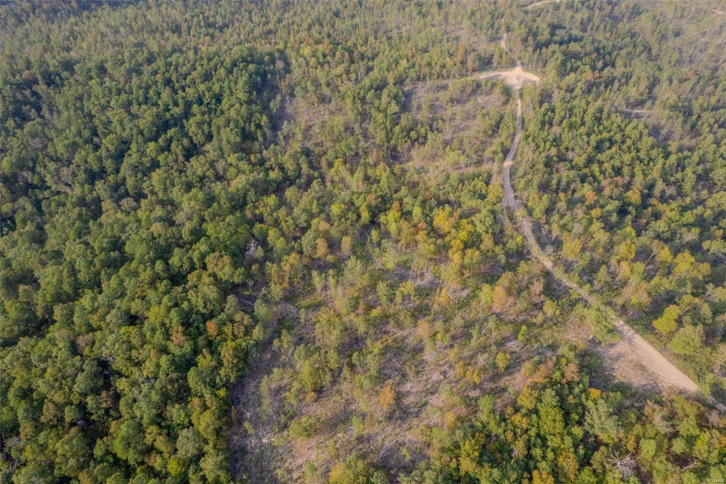 0 Madison CR 411 (124), Fredericktown, Missouri 63645, ,Farm,For Sale,Madison CR 411 (124),MAR24061291