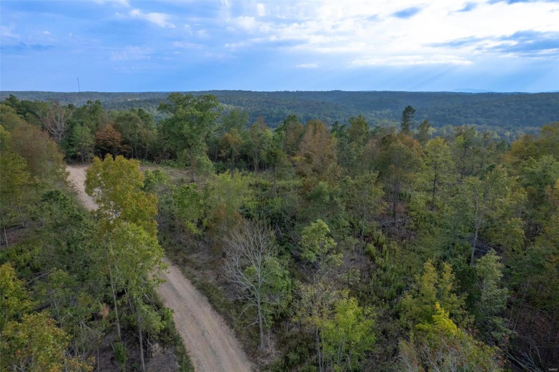 0 Madison CR 411 (124), Fredericktown, Missouri 63645, ,Farm,For Sale,Madison CR 411 (124),MAR24061291