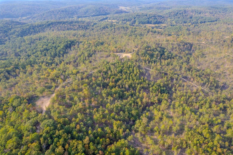 0 Madison CR 411 (124), Fredericktown, Missouri 63645, ,Farm,For Sale,Madison CR 411 (124),MAR24061291