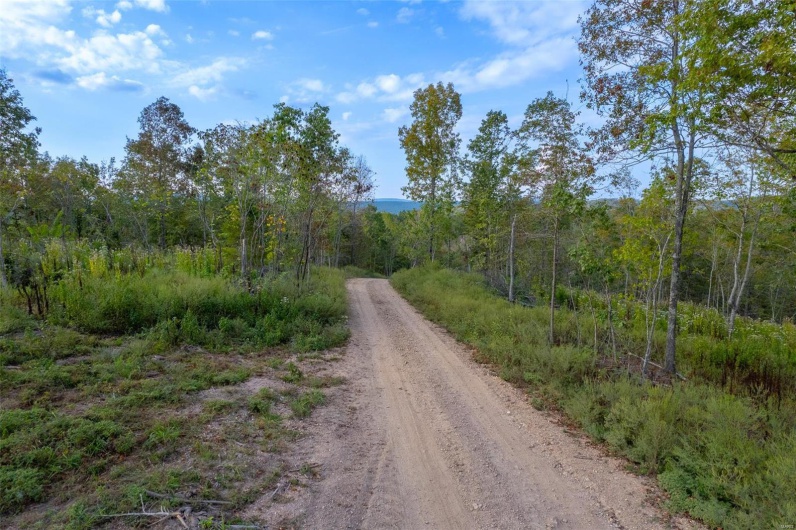 0 Madison CR 411 (124), Fredericktown, Missouri 63645, ,Farm,For Sale,Madison CR 411 (124),MAR24061291