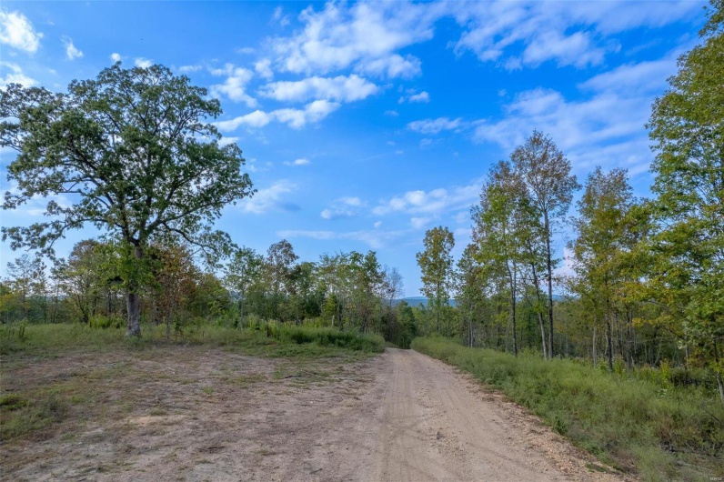0 Madison CR 411 (124), Fredericktown, Missouri 63645, ,Farm,For Sale,Madison CR 411 (124),MAR24061291