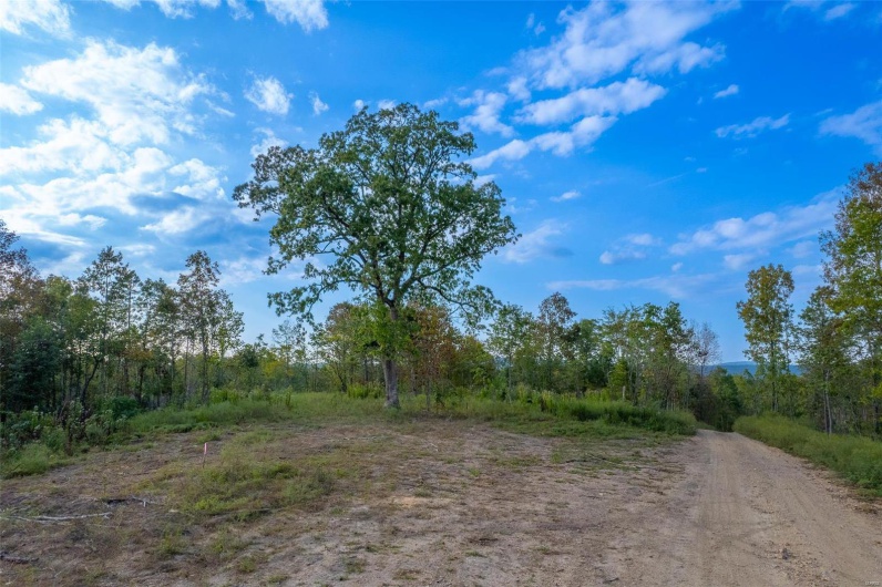 0 Madison CR 411 (124), Fredericktown, Missouri 63645, ,Farm,For Sale,Madison CR 411 (124),MAR24061291