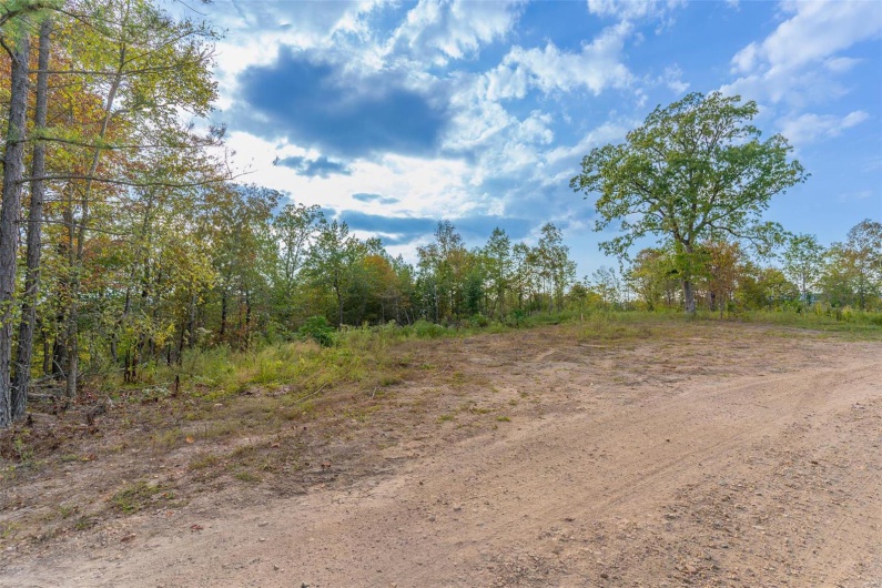 0 Madison CR 411 (124), Fredericktown, Missouri 63645, ,Farm,For Sale,Madison CR 411 (124),MAR24061291