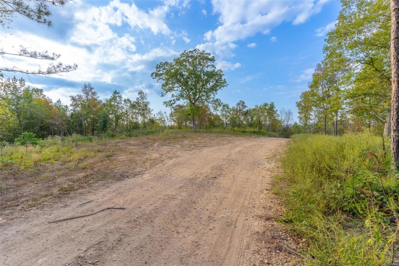 0 Madison CR 411 (124), Fredericktown, Missouri 63645, ,Farm,For Sale,Madison CR 411 (124),MAR24061291