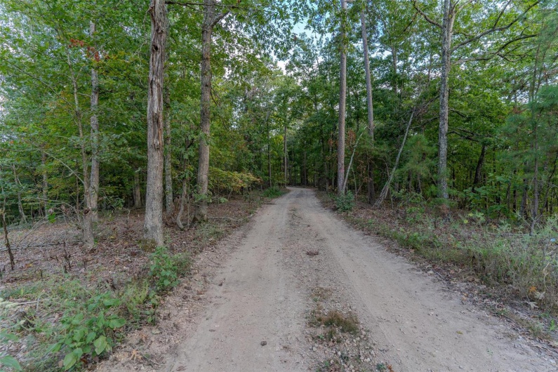 0 Madison CR 411 (124), Fredericktown, Missouri 63645, ,Farm,For Sale,Madison CR 411 (124),MAR24061291