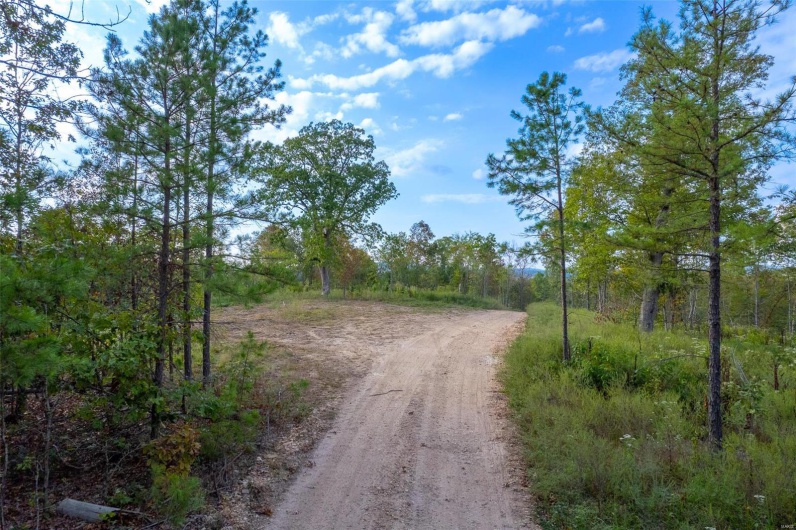 0 Madison CR 411 (124), Fredericktown, Missouri 63645, ,Farm,For Sale,Madison CR 411 (124),MAR24061291