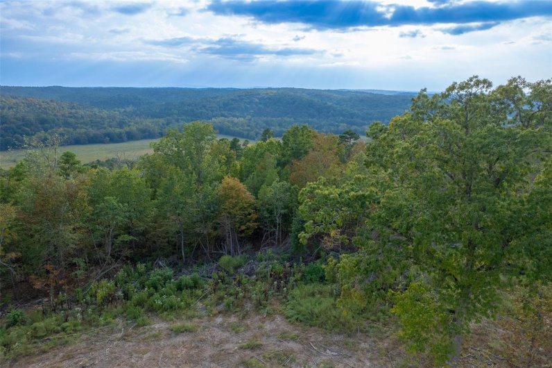 0 Madison CR 411 (124), Fredericktown, Missouri 63645, ,Farm,For Sale,Madison CR 411 (124),MAR24061291