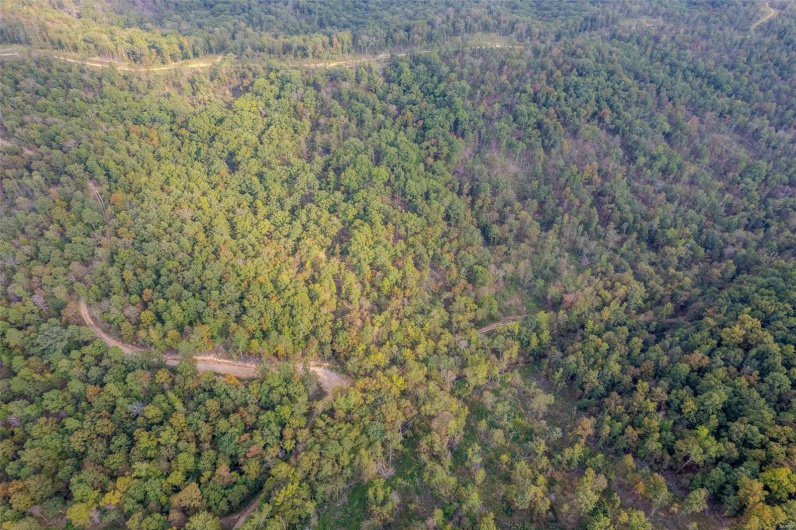 0 Madison CR 410 (118), Fredericktown, Missouri 63645, ,Land,For Sale,Madison CR 410 (118),MAR24061979