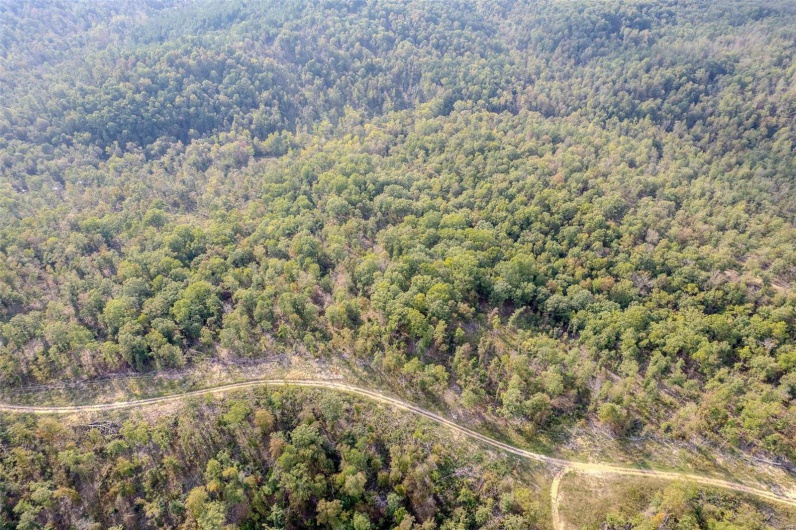 0 Madison CR 410 (118), Fredericktown, Missouri 63645, ,Land,For Sale,Madison CR 410 (118),MAR24061979
