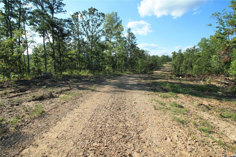 0 Madison CR 410 (118), Fredericktown, Missouri 63645, ,Land,For Sale,Madison CR 410 (118),MAR24061979