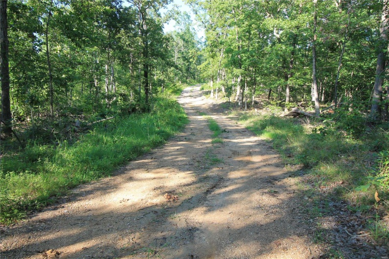 0 Madison CR 410 (118), Fredericktown, Missouri 63645, ,Land,For Sale,Madison CR 410 (118),MAR24061979