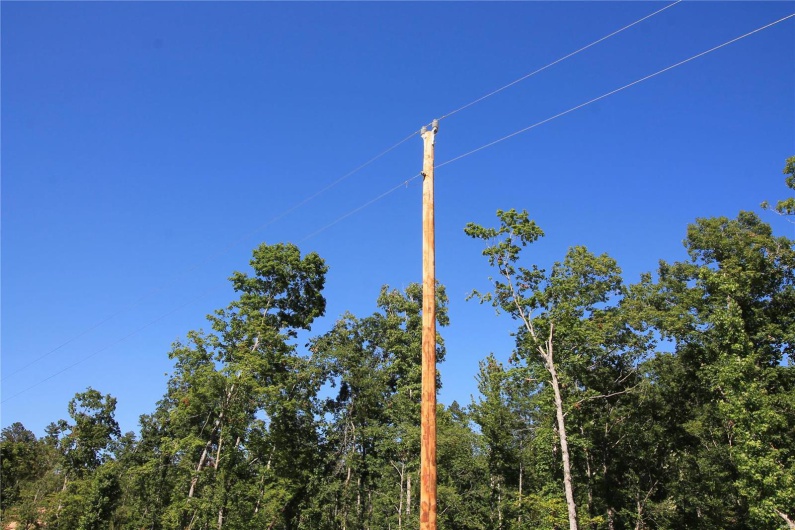 0 Madison CR 410 (118), Fredericktown, Missouri 63645, ,Land,For Sale,Madison CR 410 (118),MAR24061979