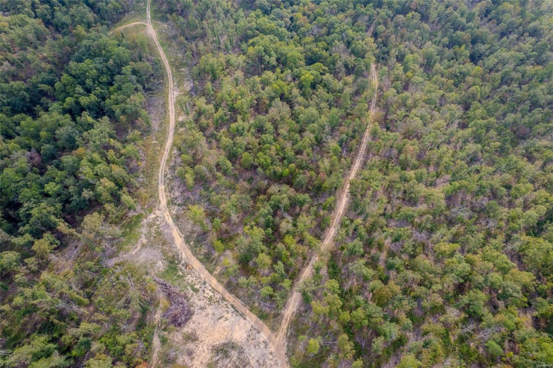 0 Madison CR 410 (118), Fredericktown, Missouri 63645, ,Land,For Sale,Madison CR 410 (118),MAR24061979