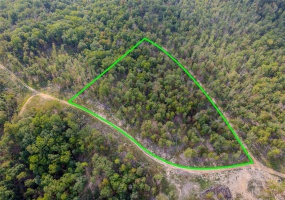 0 Madison CR 410 (118), Fredericktown, Missouri 63645, ,Land,For Sale,Madison CR 410 (118),MAR24061979