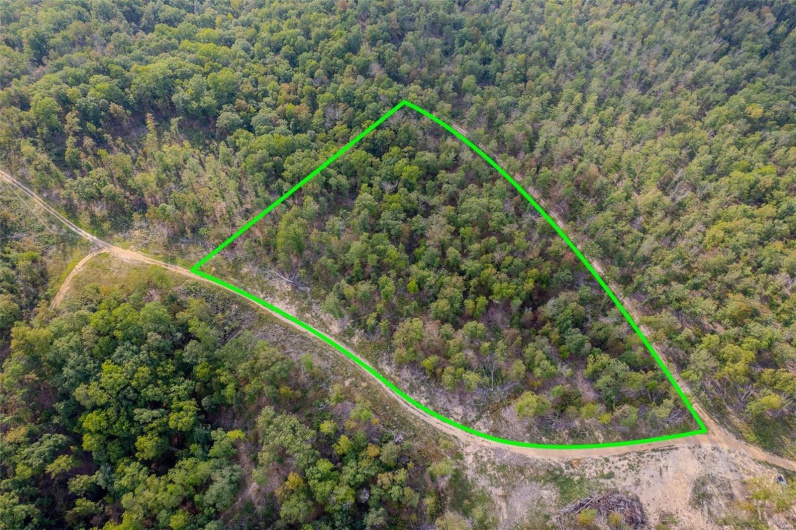 0 Madison CR 410 (118), Fredericktown, Missouri 63645, ,Land,For Sale,Madison CR 410 (118),MAR24061979