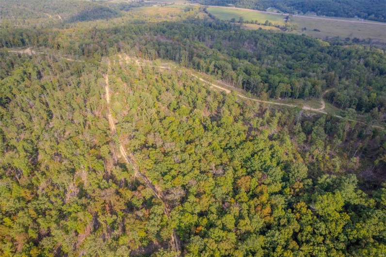 0 Madison CR 410 (118), Fredericktown, Missouri 63645, ,Land,For Sale,Madison CR 410 (118),MAR24061979