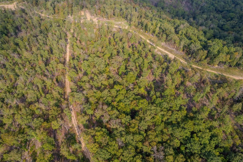 0 Madison CR 410 (118), Fredericktown, Missouri 63645, ,Land,For Sale,Madison CR 410 (118),MAR24061979
