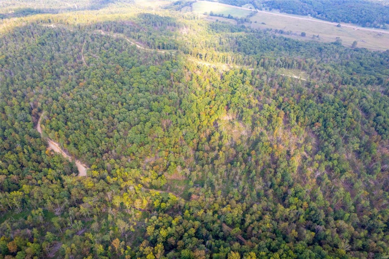 0 Madison CR 410 (119), Fredericktown, Missouri 63645, ,Farm,For Sale,Madison CR 410 (119),MAR24062110