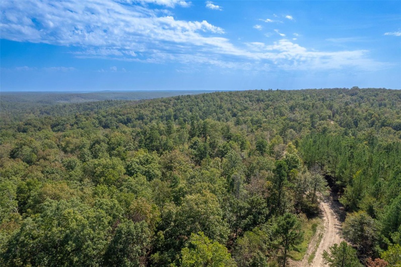 0 Madison CR 411 (122), Fredericktown, Missouri 63645, ,Farm,For Sale,Madison CR 411 (122),MAR24062409