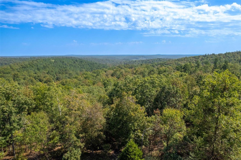 0 Madison CR 411 (122), Fredericktown, Missouri 63645, ,Farm,For Sale,Madison CR 411 (122),MAR24062409