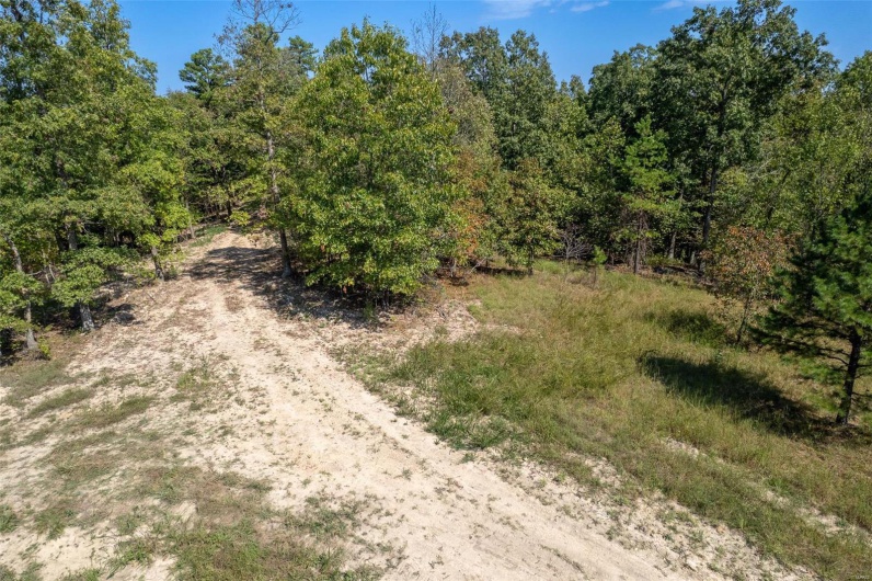 0 Madison CR 411 (122), Fredericktown, Missouri 63645, ,Farm,For Sale,Madison CR 411 (122),MAR24062409