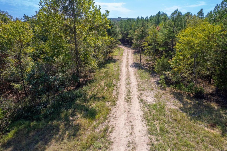 0 Madison CR 411 (122), Fredericktown, Missouri 63645, ,Farm,For Sale,Madison CR 411 (122),MAR24062409