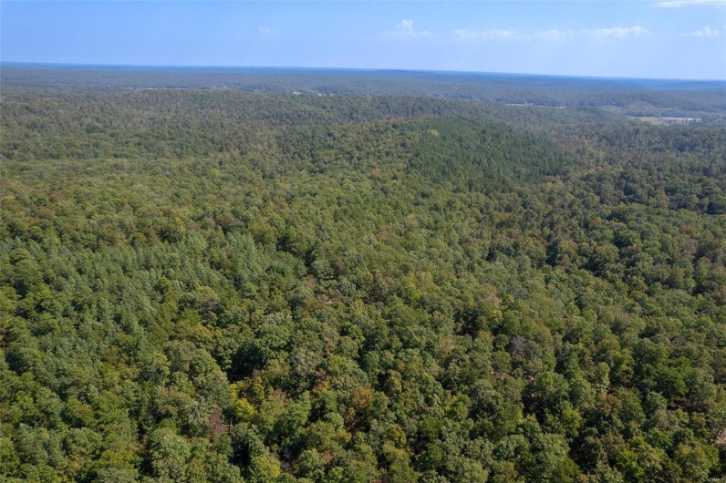 0 Madison CR 411 (122), Fredericktown, Missouri 63645, ,Farm,For Sale,Madison CR 411 (122),MAR24062409