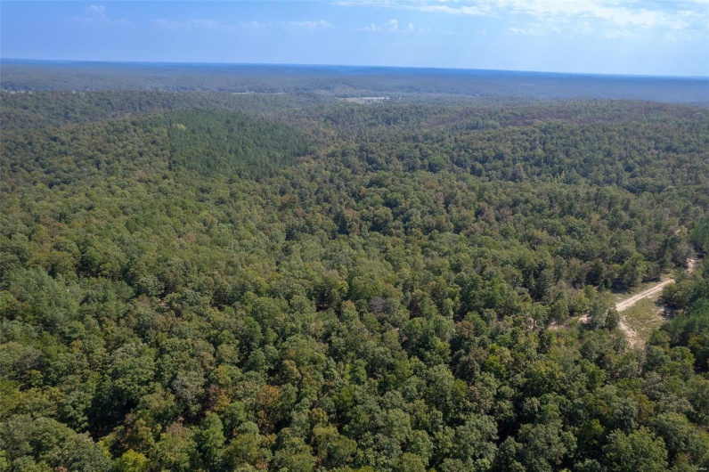 0 Madison CR 411 (122), Fredericktown, Missouri 63645, ,Farm,For Sale,Madison CR 411 (122),MAR24062409