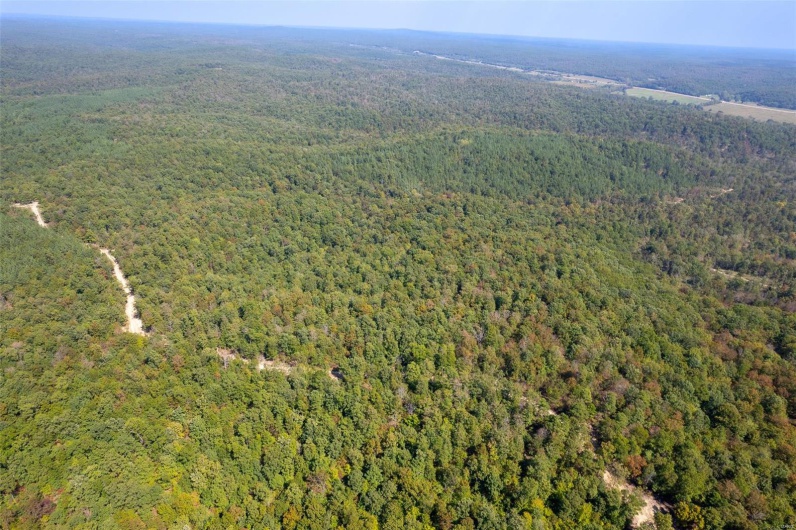 0 Madison CR 411 (122), Fredericktown, Missouri 63645, ,Farm,For Sale,Madison CR 411 (122),MAR24062409