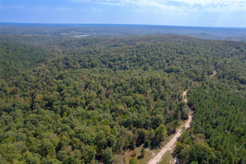 0 Madison CR 411 (122), Fredericktown, Missouri 63645, ,Farm,For Sale,Madison CR 411 (122),MAR24062409