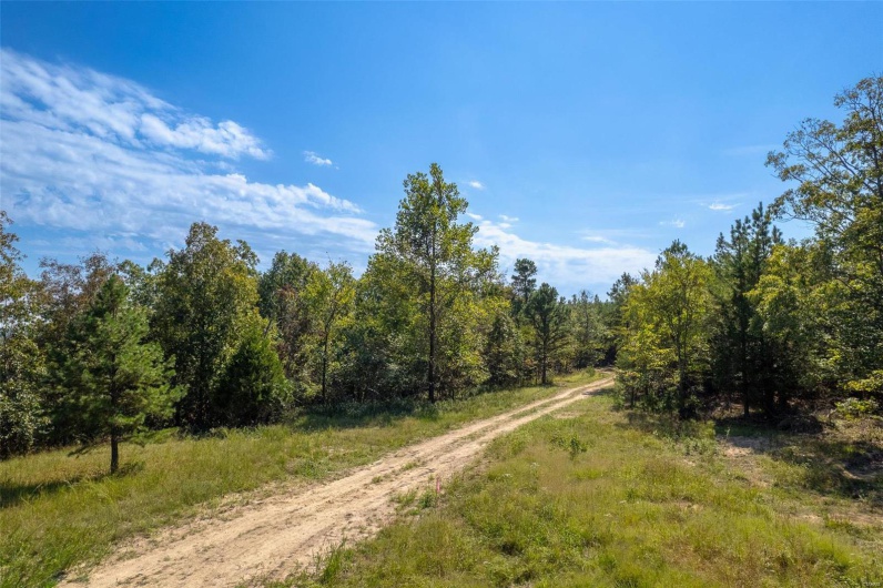 0 Madison CR 411 (122), Fredericktown, Missouri 63645, ,Farm,For Sale,Madison CR 411 (122),MAR24062409