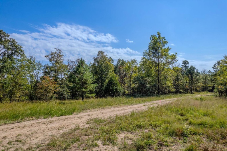 0 Madison CR 411 (122), Fredericktown, Missouri 63645, ,Farm,For Sale,Madison CR 411 (122),MAR24062409